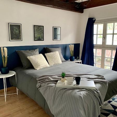 Appartement Les Bleuets - Centre Ville De 索米尔 外观 照片