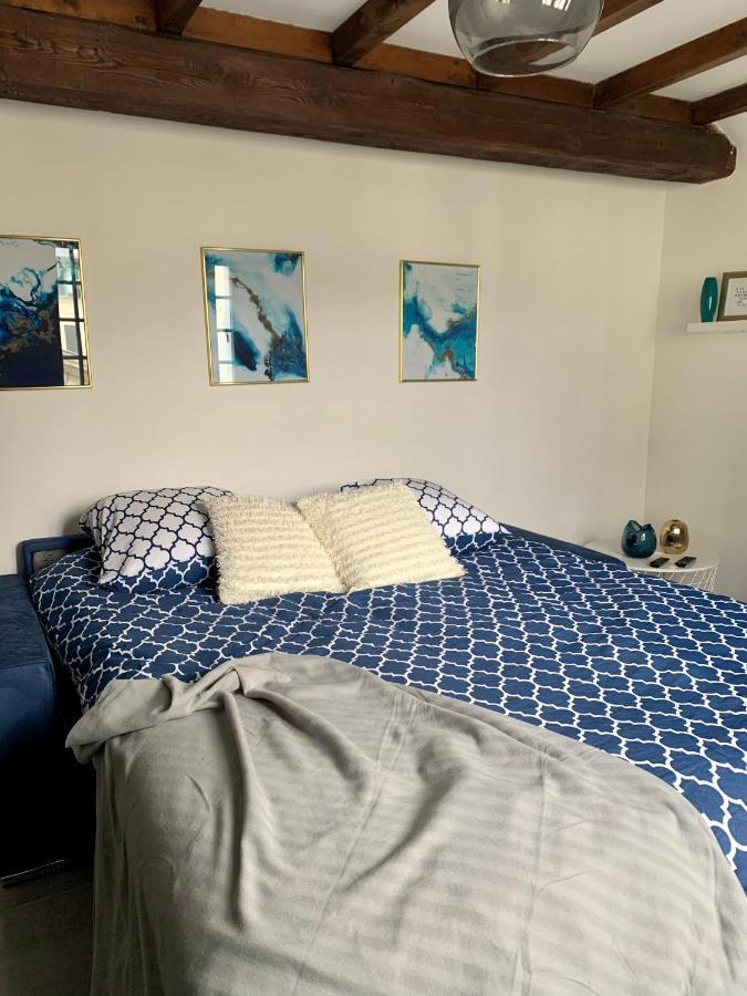 Appartement Les Bleuets - Centre Ville De 索米尔 外观 照片